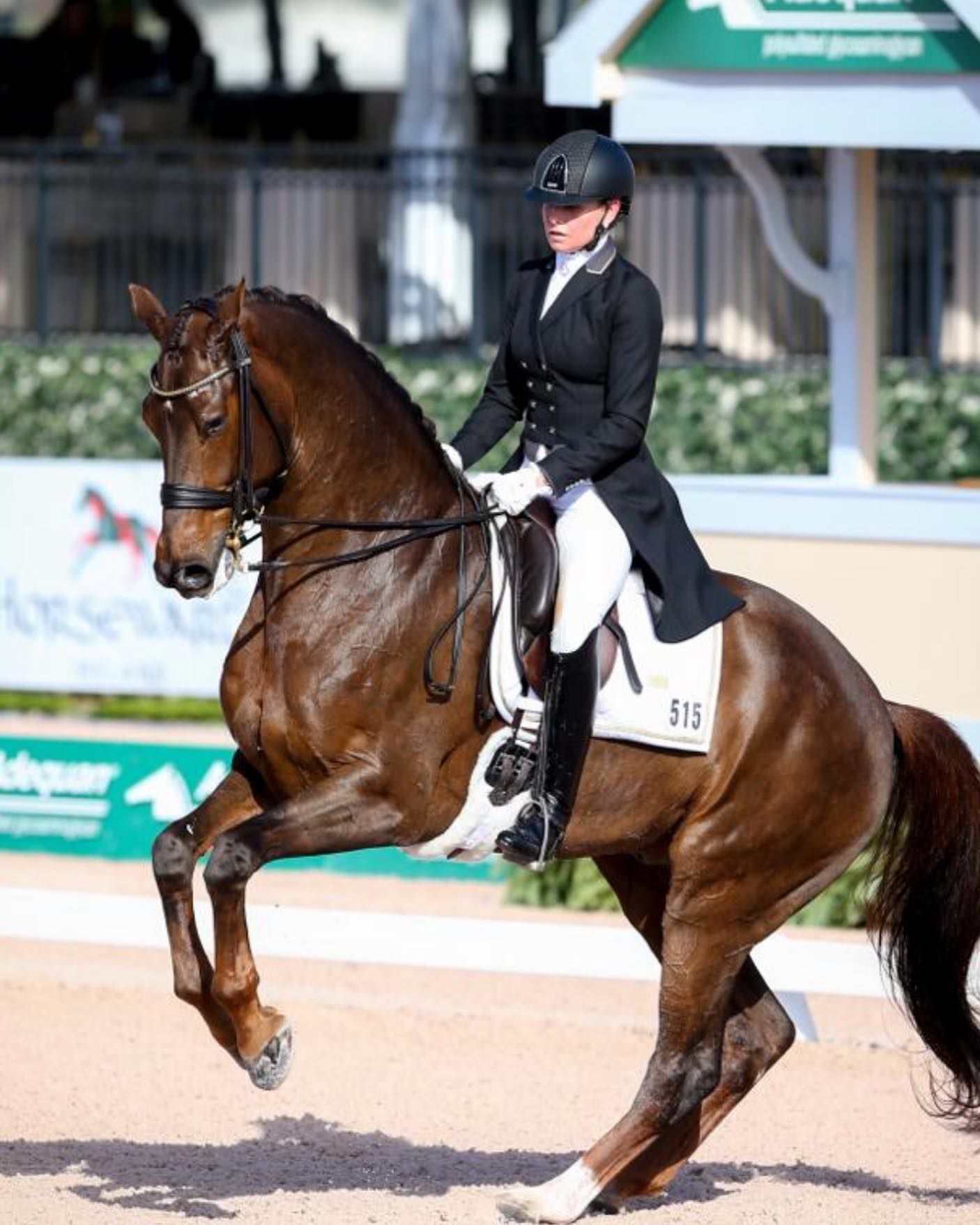 Sarah Hippenstiel Dressage